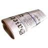Newspaper