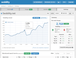 seobility domain overview