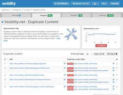 seobility duplicate content