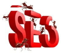 formigas seo