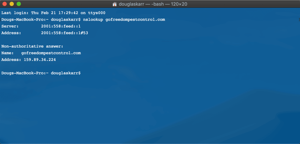 Terminal nslookup
